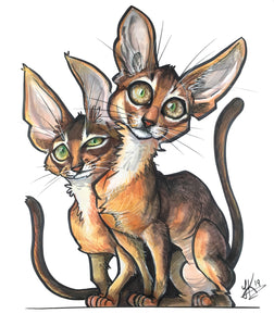 Pet caricature of two abyssinian cats with beautiful eyes