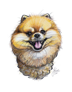 Pet caricature of a fluffy smiling pomeranian dog