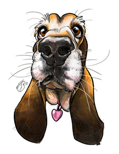 Pet caricature of a sweet droopy basset hound